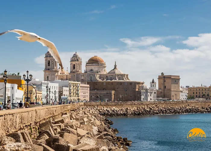 Apartment Casa Del Marinero By Livework Cadiz